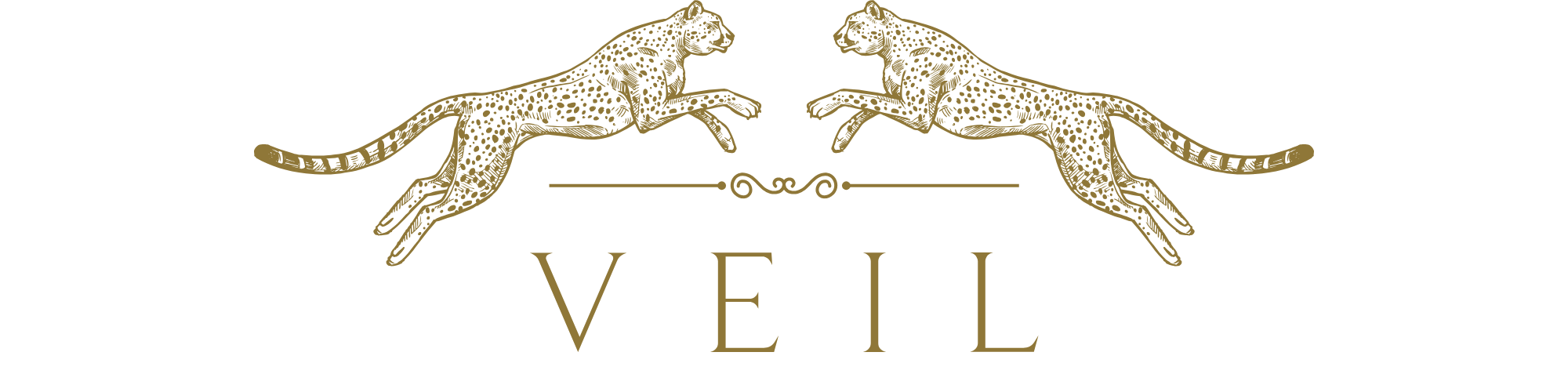 Veil